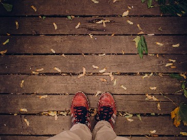 rotten wood deck